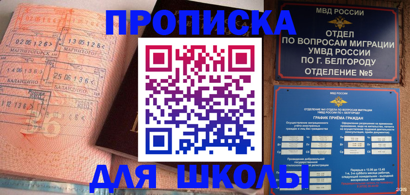 прописка иностранных граждан в Козельске